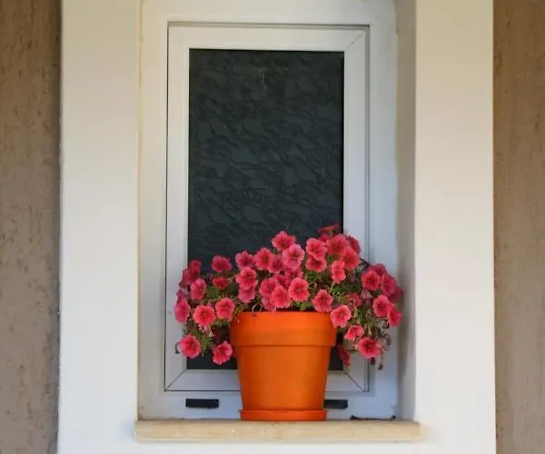 Lejlighed Nikoleta's Argostoli (Kefalonia)