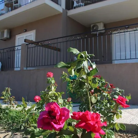 Nikoleta's Argostoli (Kefalonia)