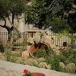 Nikoleta's Apartment