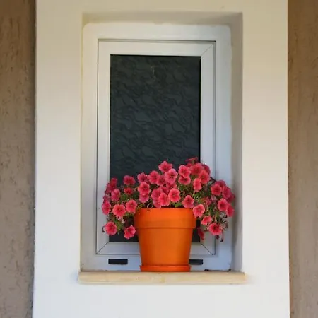 Apartamento Nikoleta's Argostoli (Kefalonia)